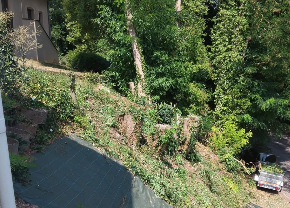 Jardin paysager après intervention