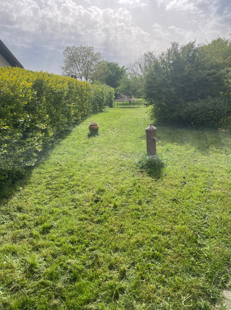 Jardin entretenu avec pelouse tondue et arbres