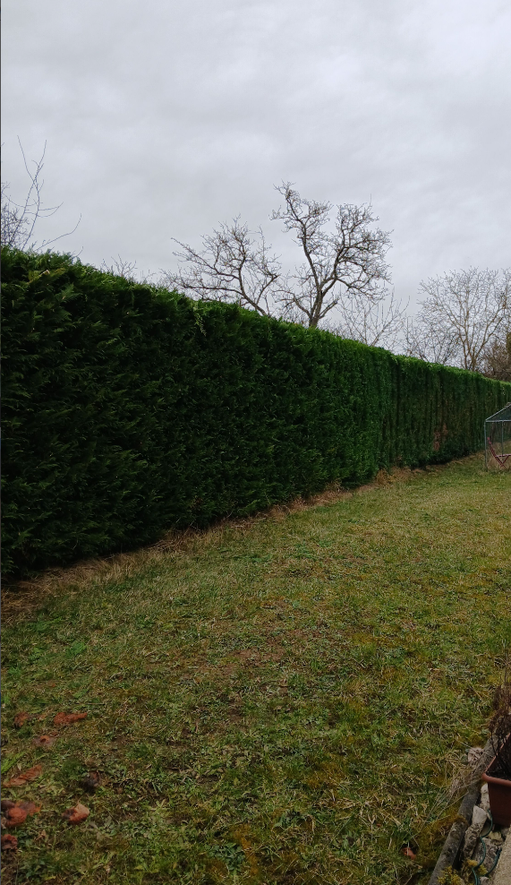 Aménagement d'espace vert
