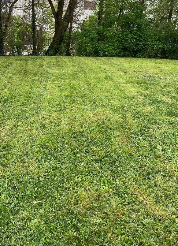 Entretien de jardin résidentiel