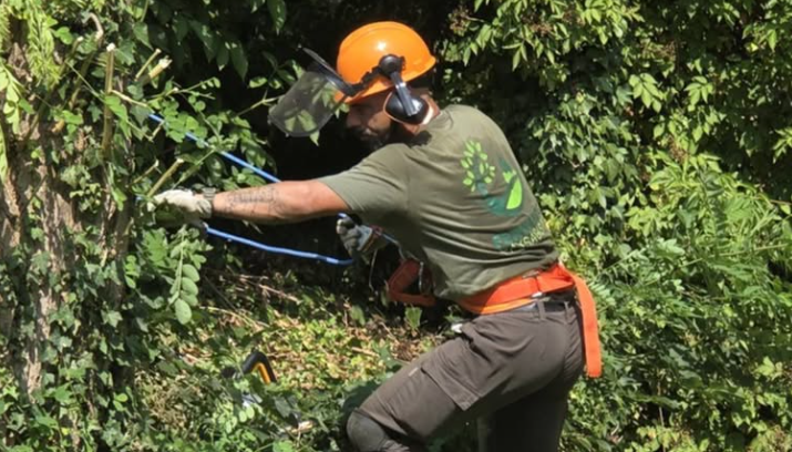 Fernando en intervention de taille d'arbre