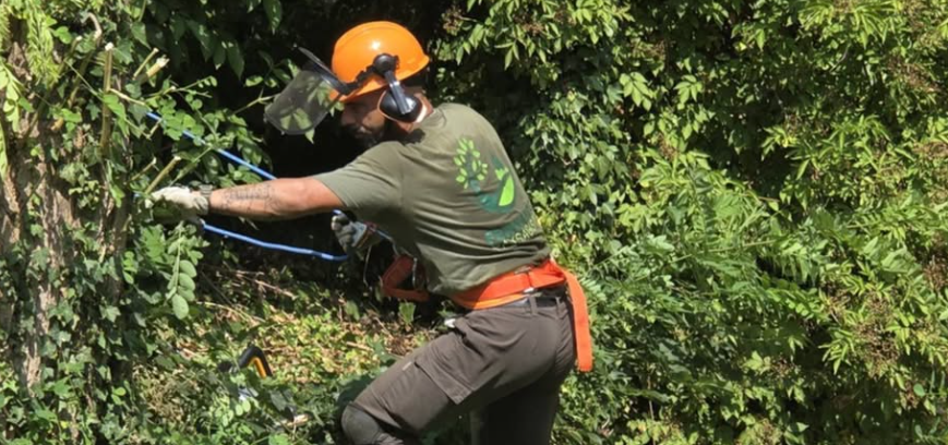 Fernando en intervention de taille d'arbre