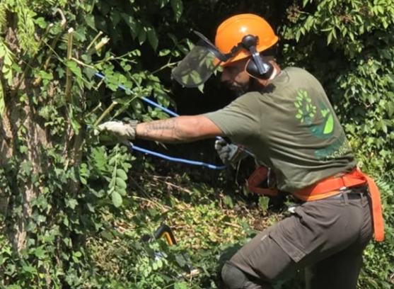 Fernando en intervention de taille d'arbre
